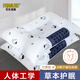 CROWN枕頭護頸椎枕決明子枕頭芯成人學(xué)生宿舍酒店家用午睡低枕芯一對裝