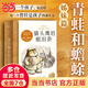 貓頭鷹的眼淚茶 全6冊 青蛙和蟾蜍作者艾諾·洛貝爾作品 凱迪克金獎&紐伯瑞大獎 5-10歲經(jīng)典橋梁書(shū)