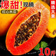 柏饞廣西紅心木瓜水果2025新鮮整箱孕婦冰糖心樹上自然熟青皮牛奶木瓜 9斤凈重8.5斤【4-5個】