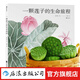 一顆蓮子的生命旅程 原創(chuàng)植物科普繪本  3-6歲 7-10歲適讀 以國(guó)畫繪出蓮的生命輪回 國(guó)風(fēng)情懷 后浪正版