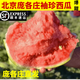 龐各莊西瓜正宗北京小西瓜大興早熟薄皮袖珍爆甜小吊瓜現摘水果 5-6斤（精選兩顆裝） 【六環(huán)內隔天到】