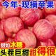 【冰糖心】陜西富士蘋果新鮮水果整箱批發(fā)孕婦爆甜蘋果紅富士水果 帶箱9-10斤 大果