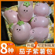 優(yōu)膳坊jelly饅頭茄子土豆蔬菜造型卡通包東北鐵鍋燉商用冷凍半成品 茄子（紫薯餡）50g*6個(gè)