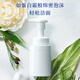 雪肌精（SEKKISEI）逸透洗顏泡沫160ml 氨基酸溫和敏感肌洗面奶七夕禮物
