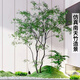 網(wǎng)紅大型真假樹南天竹室內(nèi)外枯山水造景綠植裝飾景觀盆栽植物 來圖定制仿真樹
