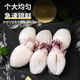 【JD&順豐】墨魚仔 新鮮免處理冷凍小墨魚活冷凍烏賊小魷魚 墨魚仔 8斤(凈重)  【超值】 20-30只/斤