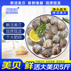 鮮潤澤 鮮活大美貝 6-8粒/斤 凈重5斤 新鮮大蛤蜊生鮮海鮮 威海源頭直發(fā)