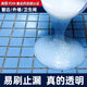 海貍大師外墻防水涂料衛生間廁所透明防水膠免砸磚房屋頂防水補漏材料