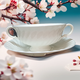 日本進(jìn)口英國皇家道爾頓純白早餐碗高顏值奶油風(fēng)餐具牛奶燕麥碗