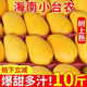 海南小臺(tái)農(nóng)芒果10斤裝新鮮小臺(tái)芒當(dāng)季特產(chǎn)水果現(xiàn)摘芒果大果整箱 5斤小果(50-70g)