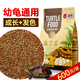 海豚龜糧金裝二合一600g上浮 巴西龜火焰龜烏龜飼料 成長發(fā)色幼龜糧食