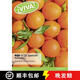 【2-3周達】Viva! AQA GCSE Spanish Foundation Student Book: - Viva! AQA GCSE Spanish Foundation Student ~