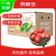 京鮮生 山東普羅旺斯西紅柿 凈重4.5斤 單果125g+ 沙瓤番茄 源頭直發(fā)