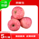 京鮮生 山東煙臺紅富士蘋果 凈重5斤 果徑75mm+ 新鮮水果 源頭直發(fā)