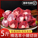 羊肉新鮮羊小腿切塊羔羊羊前腿羊腱子生鮮羊腿燒烤煲湯食材順豐 精選羊小腿切塊1斤