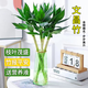 大海邊 文昌竹帶根觀音竹荷花竹水培植物凈化空氣辦公室節(jié)節(jié)高升富貴竹 文昌竹4棵（送營養(yǎng)液） 50-60厘米