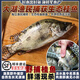 云映漁舟云映漁舟微山湖野捕鮮活生態(tài)桂魚三去新鮮現(xiàn)殺鱖魚鰲花淡水桂花魚 1.5斤/條（宰殺后損耗15％）