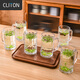CLITON玻璃水杯茶杯 帶把扎啤杯啤酒杯 可樂杯果汁杯飲料杯6只裝