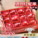 優(yōu)味集【JD順豐速發(fā)】紅蛇果進(jìn)口蘋果水果孕婦寶寶輔食丑平紅果 500g凈重裝（進(jìn)口優(yōu)果） 商超A+級大果200-260g