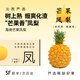 沁煦嚴選【順豐】正宗海南芒果鳳梨新鮮水果香甜臺農23號芒果香小鳳梨 5斤 【嚴選果王2個(gè)禮盒裝】