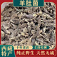精選西藏野生羊肚菌干貨正品野生自然生長(cháng)無(wú)人干預煲湯食材羊肚菌 純野生羊肚菌 50克【西藏直發(fā)】