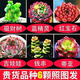 多肉植物自選套餐系列組合搭配花卉盆栽綠植精品多肉新手入門 貴貨品種6顆照圖3-4厘米 送盆土