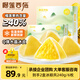 榴蓮西施榴蓮冰粽 水晶粽子 高端團(tuán)購送禮端午節(jié)禮盒冰皮 40%榴蓮果肉甜粽 【熱銷款】蘇丹王冰粽40g*6枚