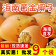 海南新鮮椰子 黃金椰子水果 單果2.8斤+ 帶皮椰青椰汁特產(chǎn) 【9粒裝】配開椰器吸管