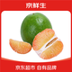 京鮮生 翡翠青柚 紅心柚 1粒裝 單果1.5斤起 生鮮水果