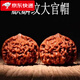 胖東來(lái)品質(zhì)文玩核桃獅子頭麒麟紋官帽四座樓白獅子磨盤(pán)蘋(píng)果園南疆 四座樓獅子頭35mm一對【原色】
