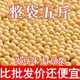 黃豆10斤大袋批發(fā)2024年新黃豆發(fā)豆芽的黃豆散裝發(fā)黃豆芽專(zhuān)用豆黑 精選黃豆(5斤裝)優(yōu)質(zhì)新豆 黑龍江綠色產(chǎn)品