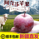 阿克蘇蘋(píng)果新疆阿克蘇蘋(píng)果特級冰糖心紅富士新鮮丑蘋(píng)果8斤順豐整箱M5 8. 8斤大果[順豐阿克蘇直發(fā)]