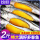 繽鮮 遼寧 大號多春魚(yú)凈重2斤 滿(mǎn)籽魚(yú)籽飽滿(mǎn) 燒烤魚(yú)類(lèi)-源頭直發(fā)