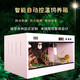 pvc爬寵箱智能溫控寄居蟹陸龜鬃獅蜥蜴守宮飼養(yǎng)箱恒溫保溫定制箱 白色智能溫控箱40*30*30 2燈座2