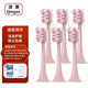 清奢適用拜爾bair電動(dòng)牙刷頭X3/Xi3/X3S/X1 Plus3-1/G101/A8拜耳替換頭X6/X6S/X6U/X301/X304/X303/G1 6支 粉色舒適款
