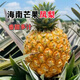 田園東方 ORIENT IDYLL海南鳳梨（帶葉） 應季時(shí)令水果（表皮變黃再食用） 5斤芒果鳳梨小果凈重4.5斤約3-5個(gè)