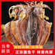淡曬大號(hào)墨魚干500g約2-3頭帶骨墨魚干淡干墨魚煲湯野生特非淡水 大號(hào)墨魚干500約2-3頭
