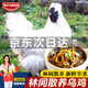 魯爺爺?shù)霓r(nóng)場(chǎng) 清真烏雞新鮮現(xiàn)殺走地雞土雞農(nóng)家散養(yǎng)正宗烏骨雞煲湯整只 1只現(xiàn)殺烏雞 凈重700g-800g