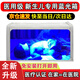 藍光燈黃疸新生兒去黃藍光燈嬰兒寶寶醫(yī)家用除降烤黃藍光儀器箱毯 藍光箱【醫(yī)款治療版】+眼罩尿片