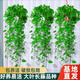 綠蘿吊蘭水培盆栽室內除甲醛長藤綠籮垂吊植物新房去甲醇凈化空氣 精品長藤紅盆1盆（藤長30~40cm）送儲水盆