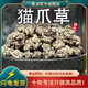 墨源貓爪草中藥材新鮮貓抓草貓爪草茶散非野生結茶水洗搭夏枯草蒲公英 貓爪草500克【新貨】