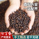 愛蜀味丁香70g 罐裝 無硫公丁香 香辛料調(diào)味品  香料增香鹵料