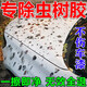 車(chē)飛馳汽車(chē)強力去污洗車(chē)液去除漆面油漆黃點(diǎn)鐵銹蟲(chóng)膠樹(shù)膠清潔清洗劑外飛 單瓶裝【體驗款】