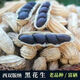 云南富硒黑花生帶殼花生黑衣養胃黑皮花生富硒黑花生帶殼原味 3斤裝帶殼黑花生