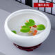 景德鎮(zhèn)陶瓷花盆魚(yú)缸桌面大號(hào)招財(cái)金魚(yú)烏龜缸盆睡碗蓮水仙荷花盆缸 純白  肚經(jīng)23口徑20高12厘米送底座