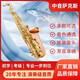 天鵝（SWAN）星海中音降E調(diào)薩克斯風雙筋 加大喇叭口 鮑魚按扣演奏 考級 初學 磷銅款