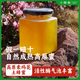 小釀蜜【1/2/3斤】索瑪花土蜂蜜高原稀有蜜源無(wú)蔗糖無(wú)添加營(yíng)養兒 索瑪花蜜500g*1瓶