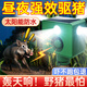 森馳驅(qū)趕野獸嚇豬神器太陽能莊稼地狗叫聲報(bào)警器戶外爆閃防動(dòng)物感應(yīng)燈 四面爆閃爆響驅(qū)獸燈
