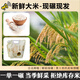 【鮮大米 鮮碾現發(fā)】東北黑土地吉林鮮米 長(cháng)粒香米 中科發(fā)5號米 2.5kg*2袋 每月現碾 大米