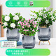綠有意綠植盆栽桌面水培綠植辦公室植物懶人好養盆景水養植物 【花套餐】梔子花+九里香+金枝 含盆